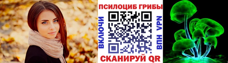 Галлюциногенные грибы прущие грибы Новоузенск